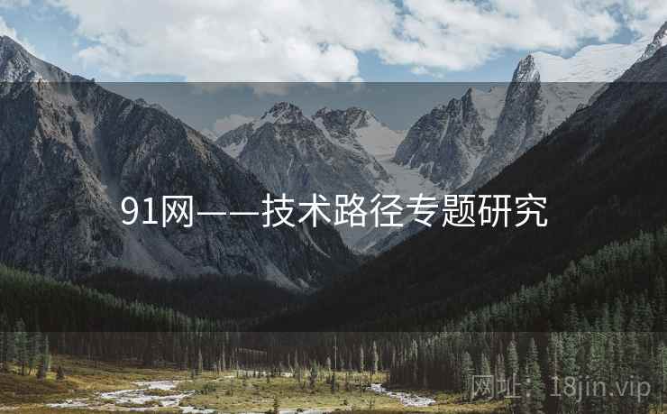91网——技术路径专题研究