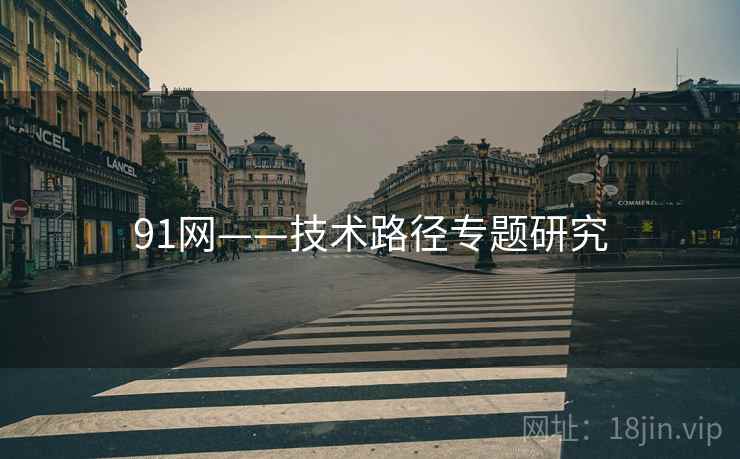 91网——技术路径专题研究  第2张