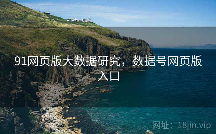 91网页版大数据研究，数据号网页版入口  第2张