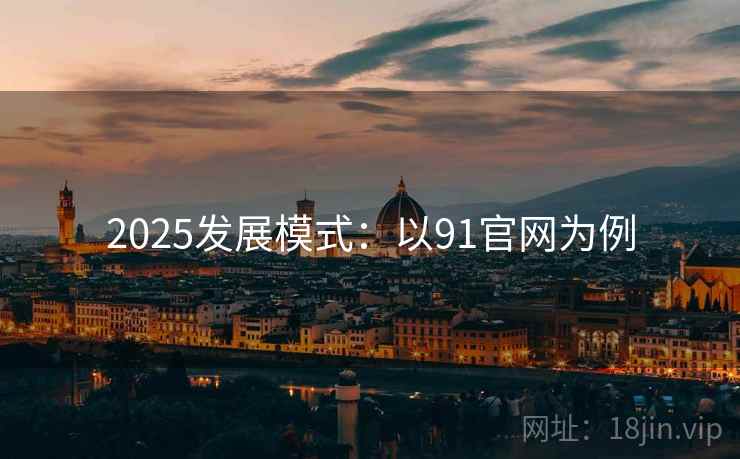 2025发展模式：以91官网为例