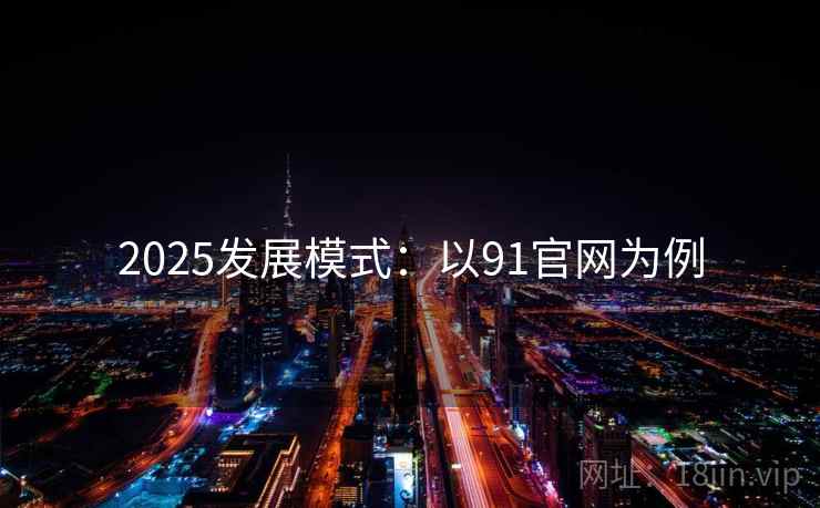 2025发展模式：以91官网为例
