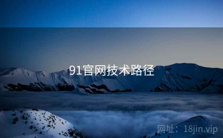 91官网技术路径