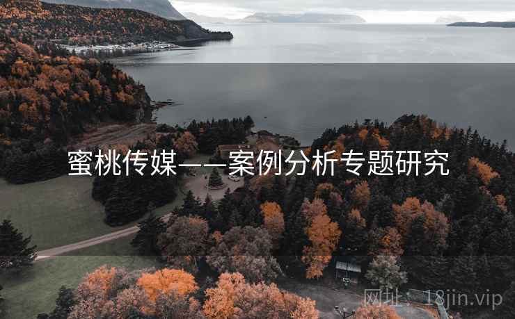 蜜桃传媒——案例分析专题研究