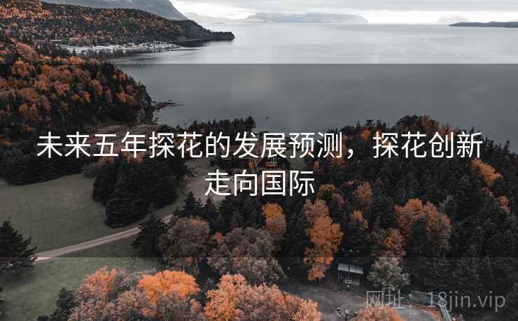 未来五年探花的发展预测，探花创新走向国际