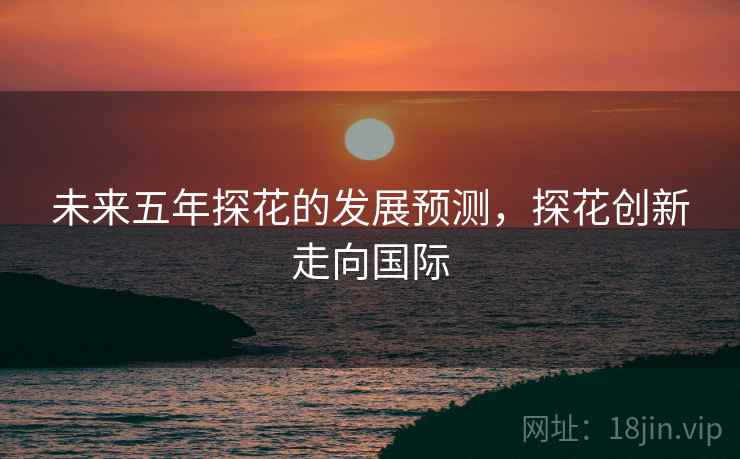 未来五年探花的发展预测，探花创新走向国际
