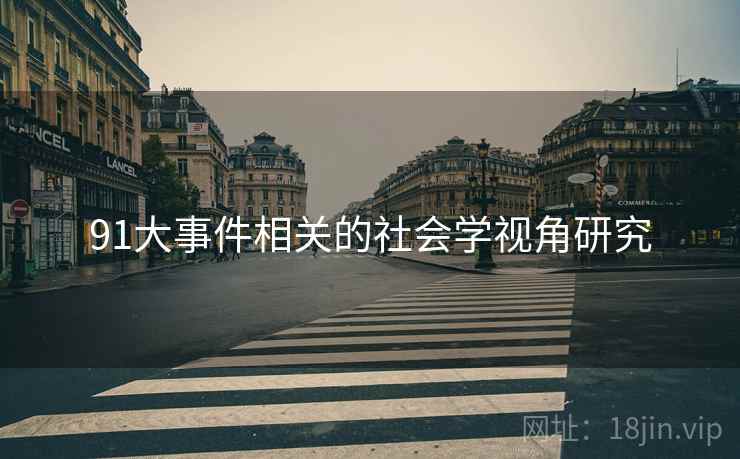 91大事件相关的社会学视角研究