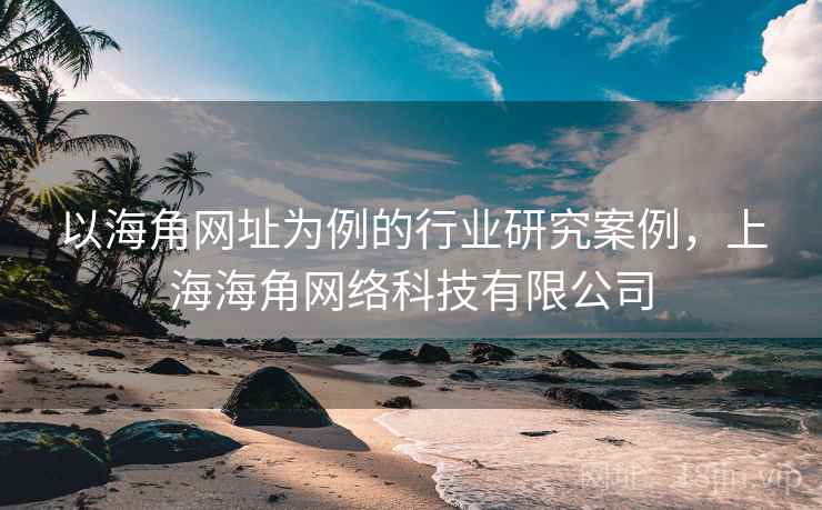 以海角网址为例的行业研究案例，上海海角网络科技有限公司