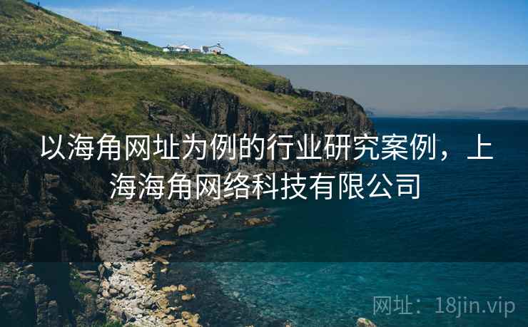 以海角网址为例的行业研究案例，上海海角网络科技有限公司