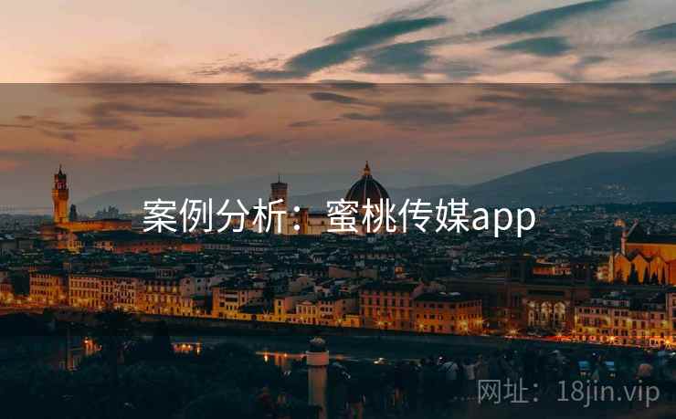 案例分析：蜜桃传媒app