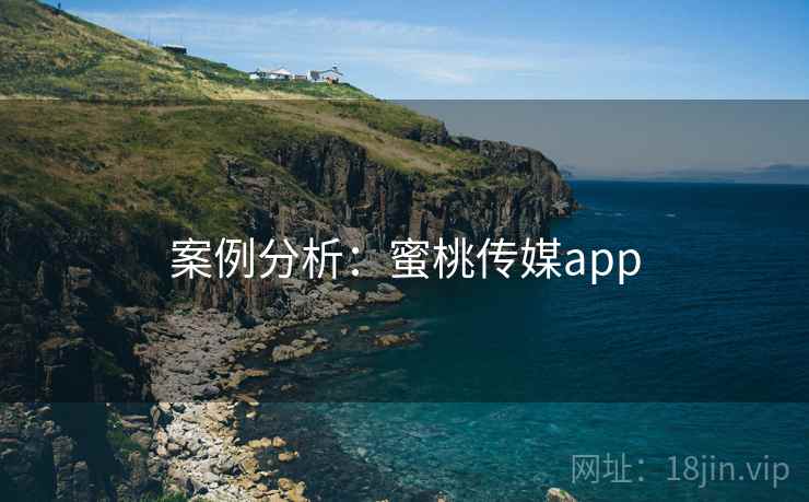 案例分析：蜜桃传媒app