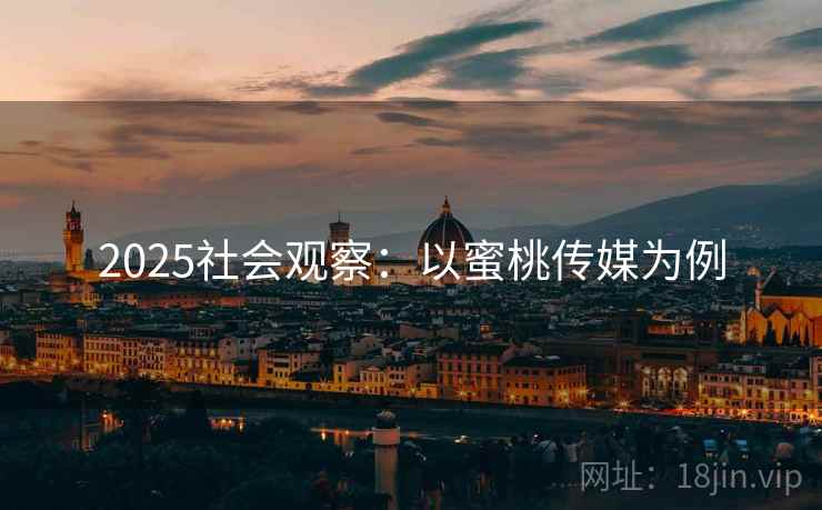 2025社会观察：以蜜桃传媒为例