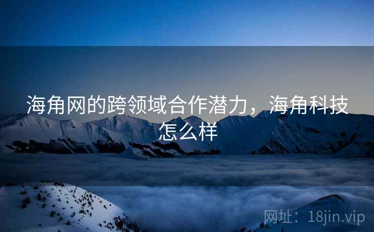 海角网的跨领域合作潜力，海角科技怎么样