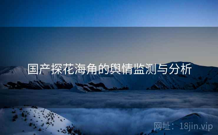 国产探花海角的舆情监测与分析