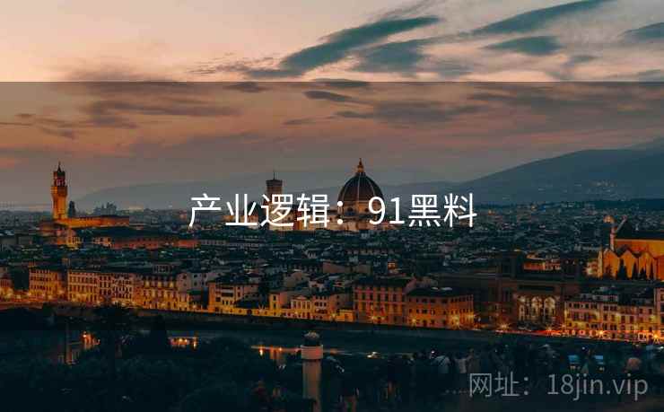 产业逻辑：91黑料