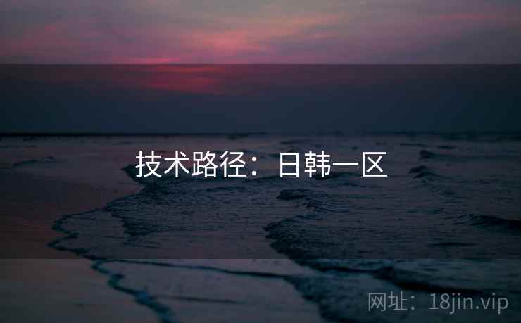 技术路径：日韩一区