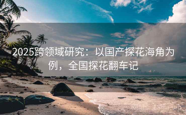 2025跨领域研究：以国产探花海角为例，全国探花翻车记