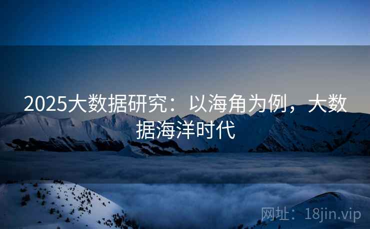 2025大数据研究：以海角为例，大数据海洋时代