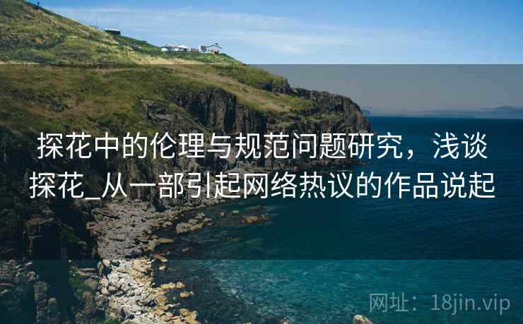 探花中的伦理与规范问题研究，浅谈探花_从一部引起网络热议的作品说起  第2张