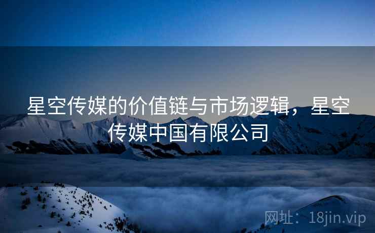 星空传媒的价值链与市场逻辑，星空传媒中国有限公司