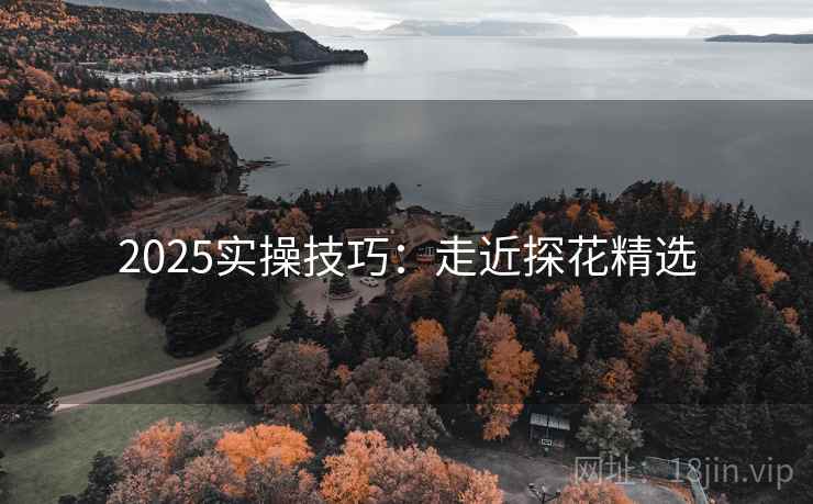 2025实操技巧：走近探花精选