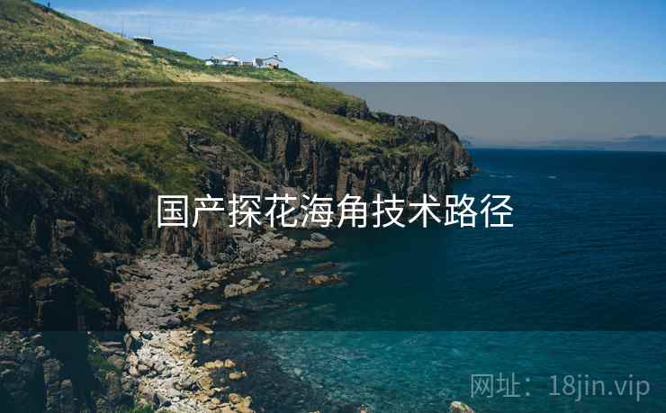 国产探花海角技术路径