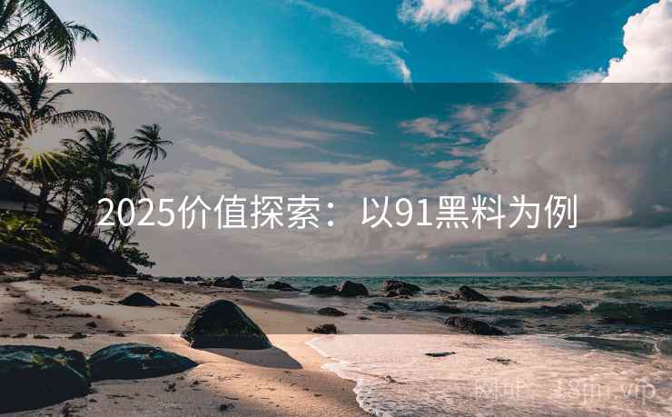 2025价值探索：以91黑料为例