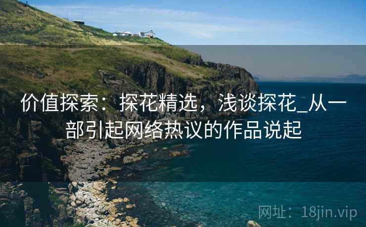 价值探索：探花精选，浅谈探花_从一部引起网络热议的作品说起