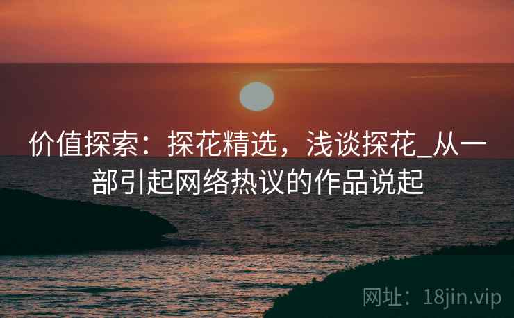 价值探索：探花精选，浅谈探花_从一部引起网络热议的作品说起