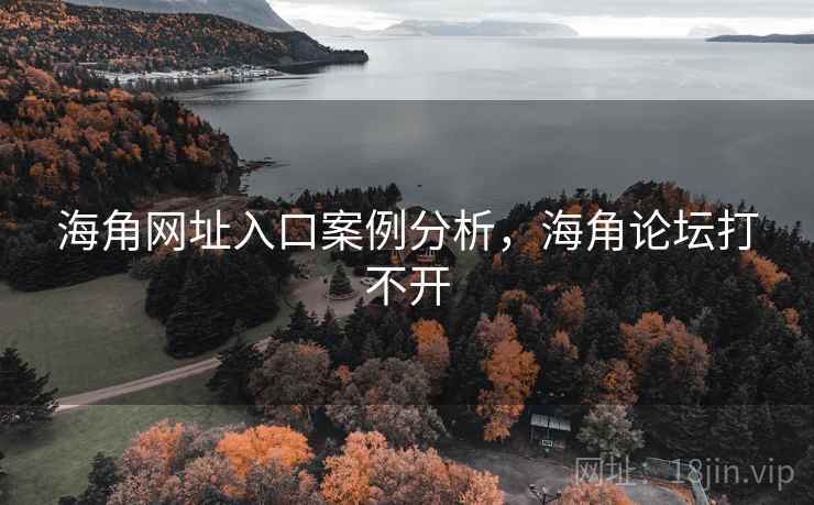 海角网址入口案例分析，海角论坛打不开