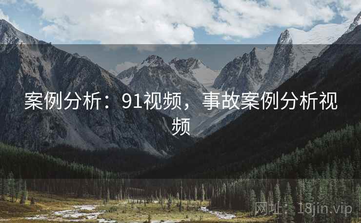 案例分析：91视频，事故案例分析视频