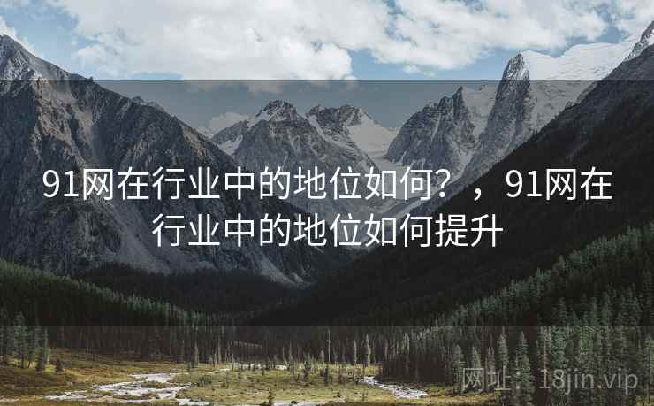 91网在行业中的地位如何？，91网在行业中的地位如何提升