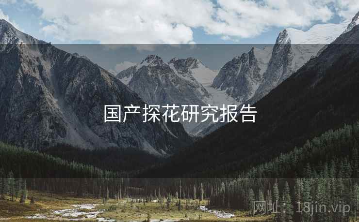 国产探花研究报告  第2张