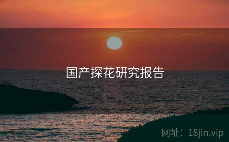 国产探花研究报告  第1张