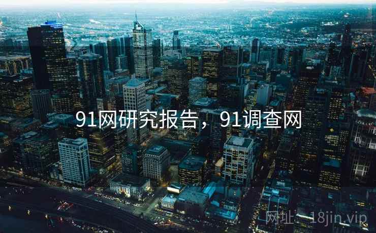 91网研究报告，91调查网  第2张