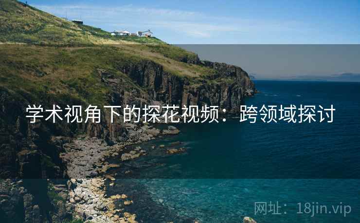 学术视角下的探花视频：跨领域探讨  第2张