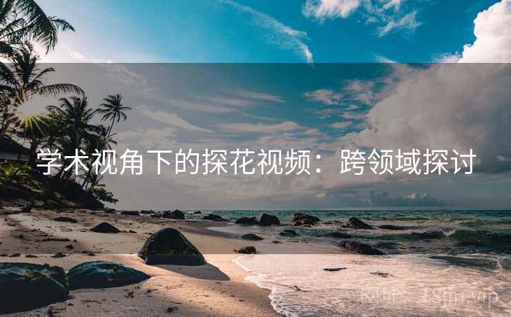 学术视角下的探花视频：跨领域探讨