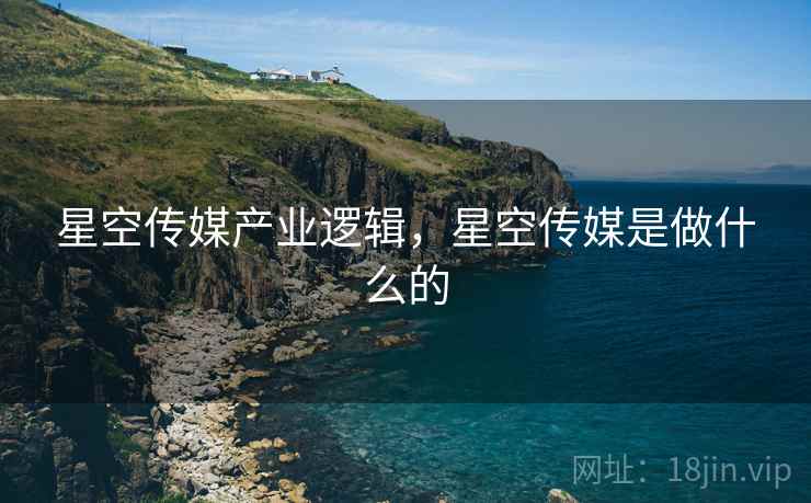 星空传媒产业逻辑，星空传媒是做什么的