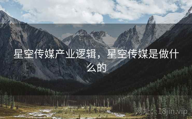 星空传媒产业逻辑，星空传媒是做什么的