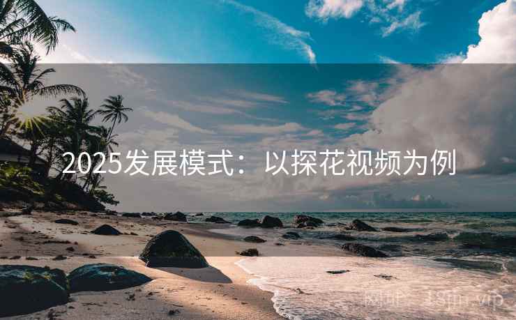 2025发展模式：以探花视频为例