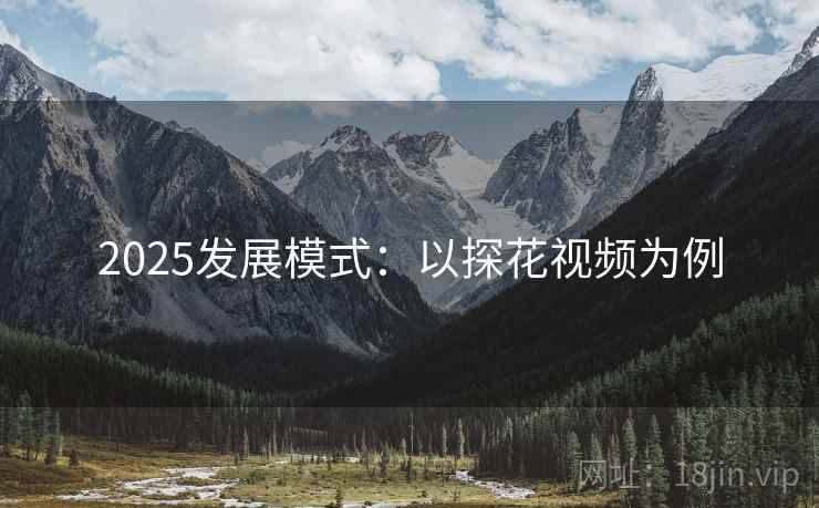 2025发展模式：以探花视频为例