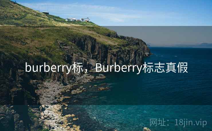 burberry标，Burberry标志真假  第1张