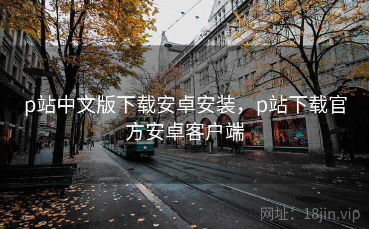 p站中文版下载安卓安装，p站下载官方安卓客户端