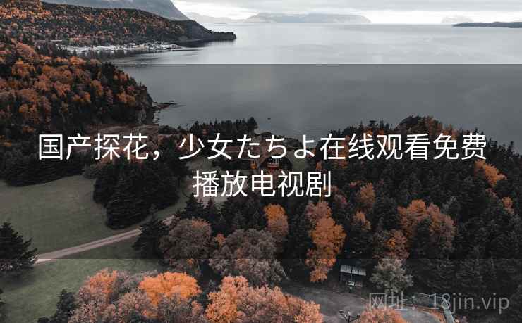 国产探花，少女たちよ在线观看免费播放电视剧