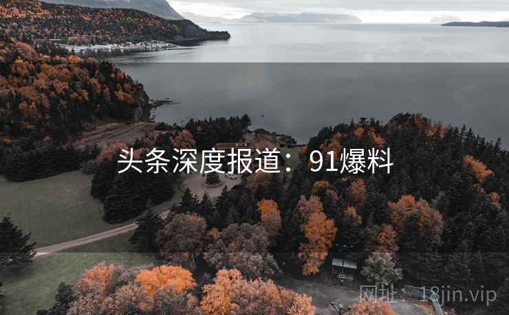 头条深度报道：91爆料  第2张