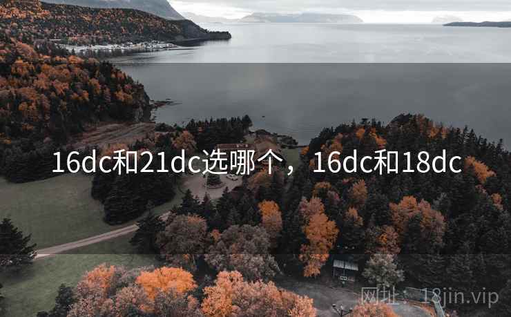 16dc和21dc选哪个，16dc和18dc