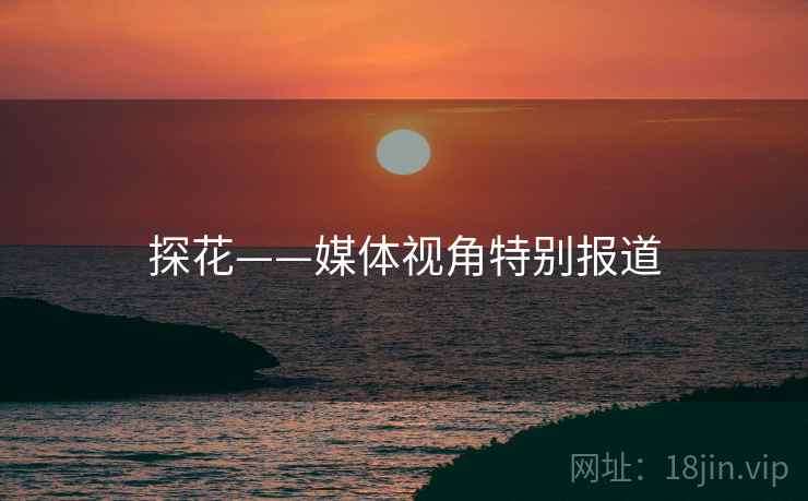 探花——媒体视角特别报道