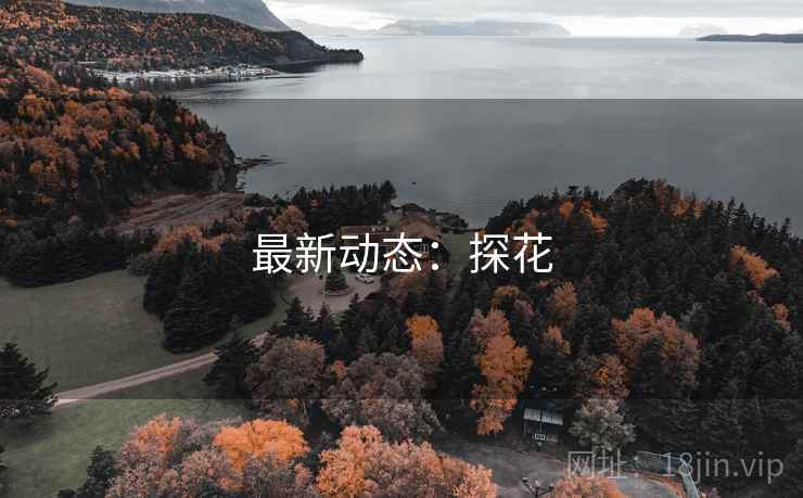 最新动态：探花