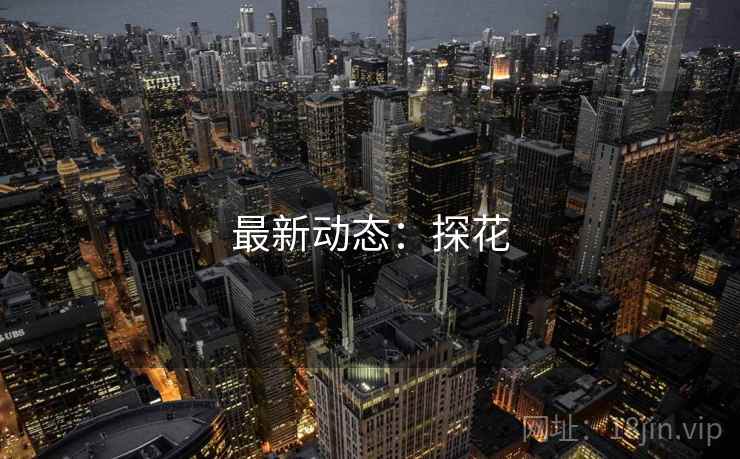 最新动态：探花