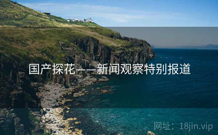 国产探花——新闻观察特别报道