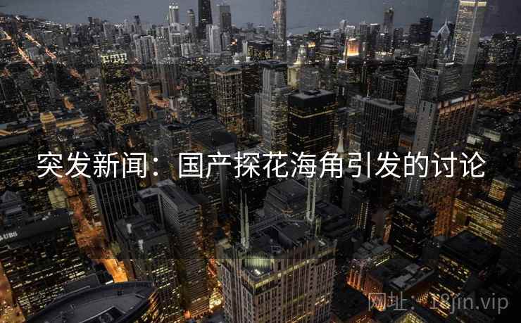 突发新闻：国产探花海角引发的讨论
